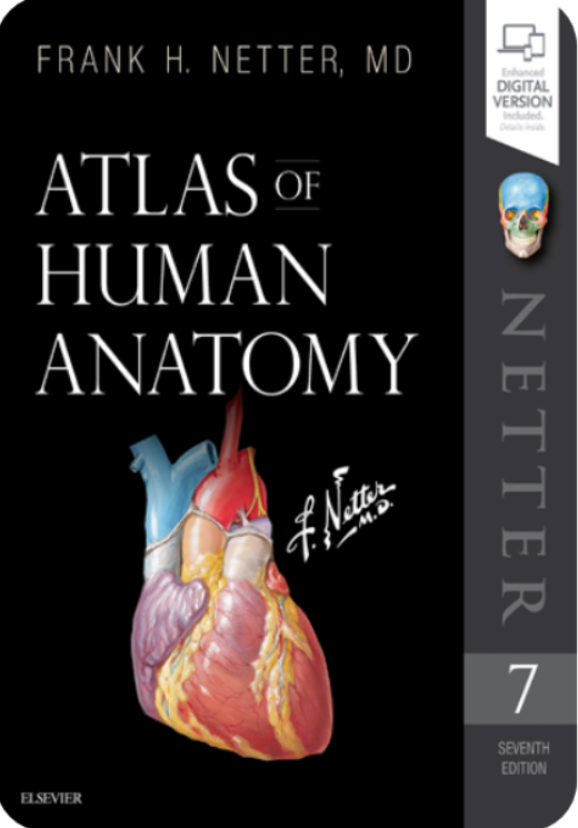 Netter Atlas Of Human Anatomy pdf