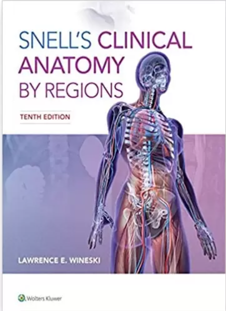 Snell Clinical Anatomy By Regions pdf