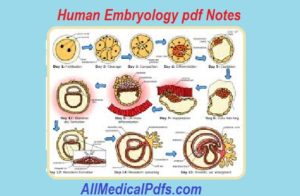 human embryology pdf notes