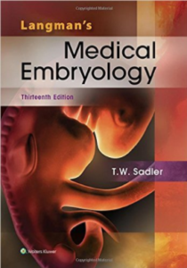 langman's medical embryology pdf