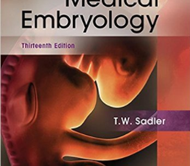 langman's medical embryology pdf