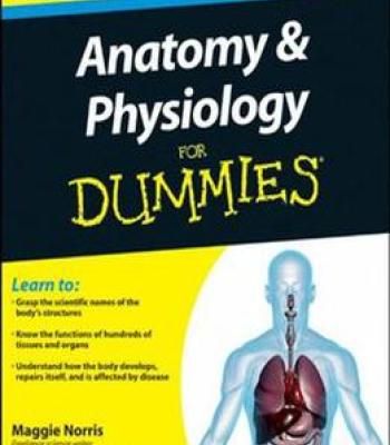 Anatomy And Physiology For Dummies Pdf