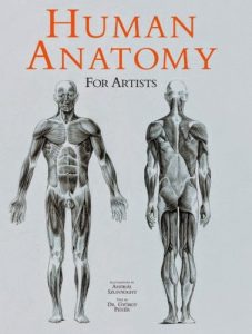 Human Anatomy For The Artist Pdf Free Download - All Medical Pdfs