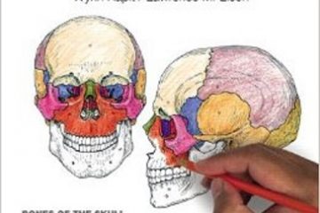 Human Anatomy Coloring Book Pdf