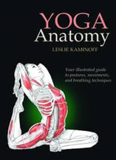 yoga anatomy pdf