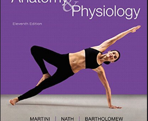 Fundamentals of Anatomy and Physiology Pdf