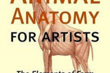 Animal Anatomy For Artists Pdf