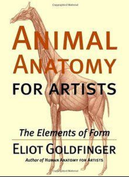 Animal Anatomy For Artists Pdf