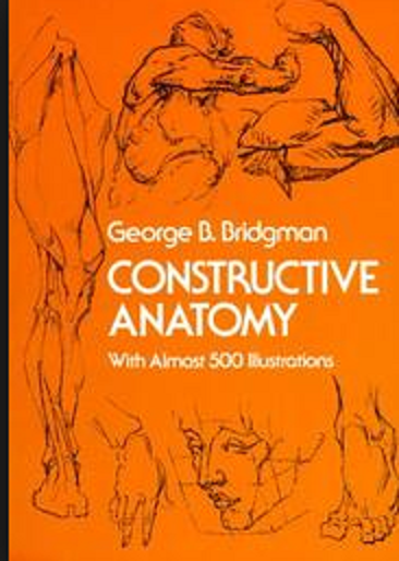Constructive Anatomy Pdf