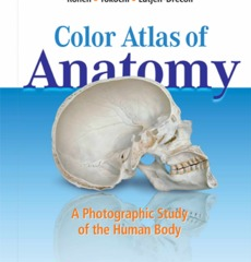 Anatomy Atlas Pdf