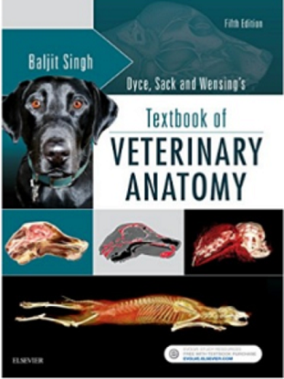 Textbook of Veterinary Anatomy Pdf